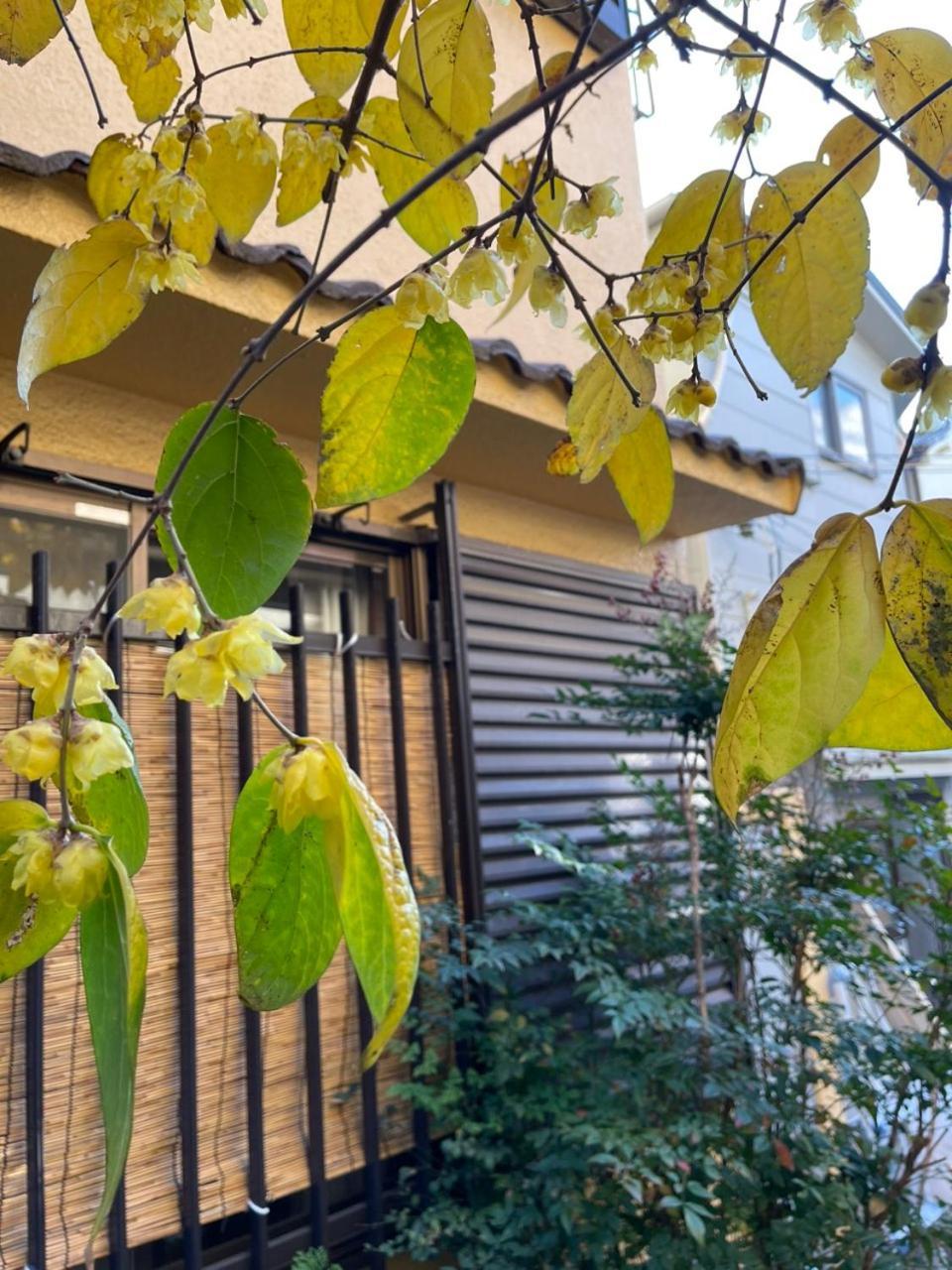 Annam Stay Osaka - Whole Three Story House Rental Esterno foto